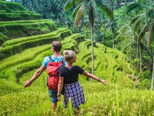 img-tegalalang-rice-terrace-530x400