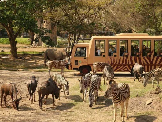 Bali-Safari-and-Marine-Park-530x400