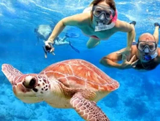 Snorkeling at Blue Lagoon