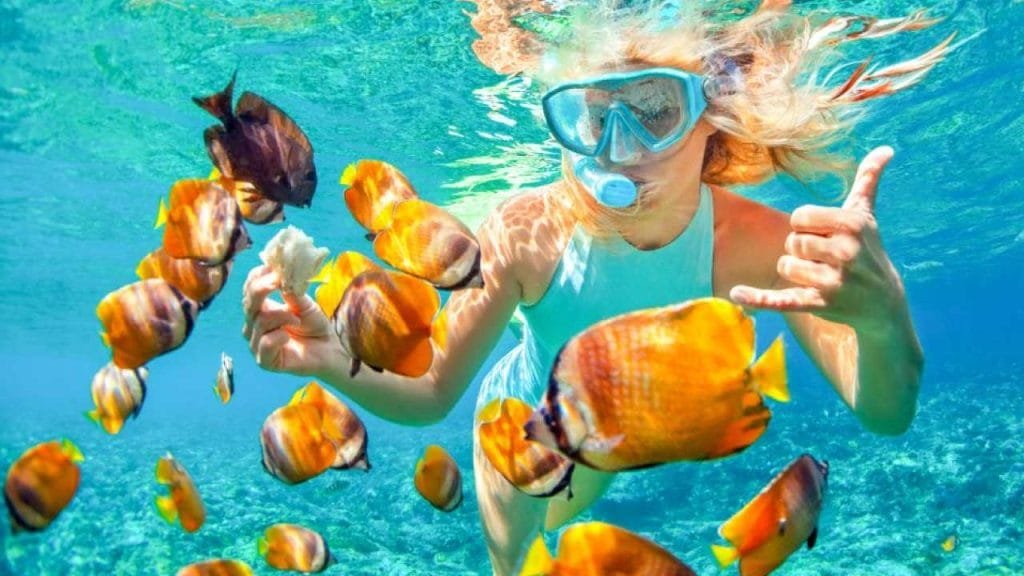 Bali Snorkeling trip