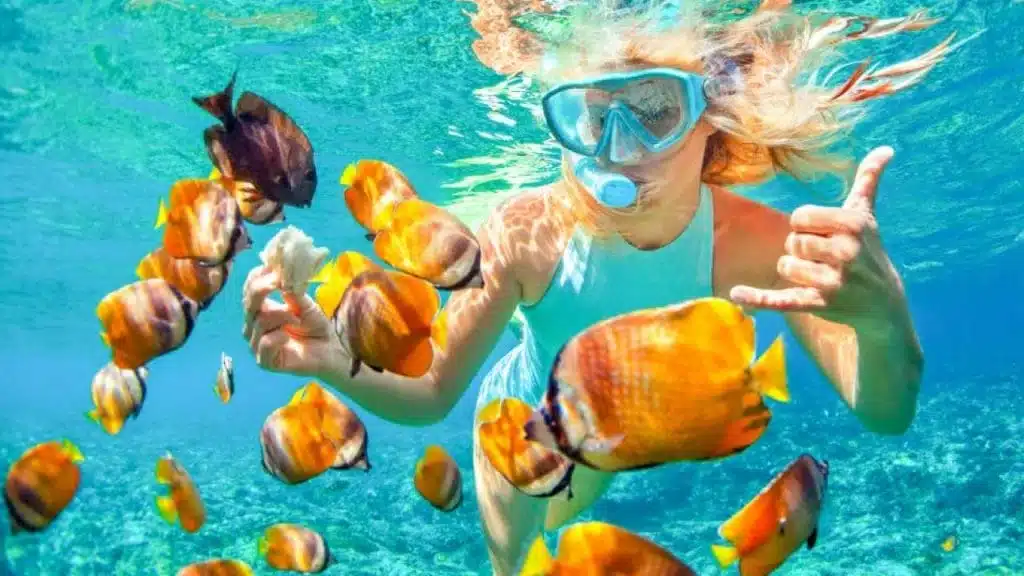 Bali Snorkeling trip