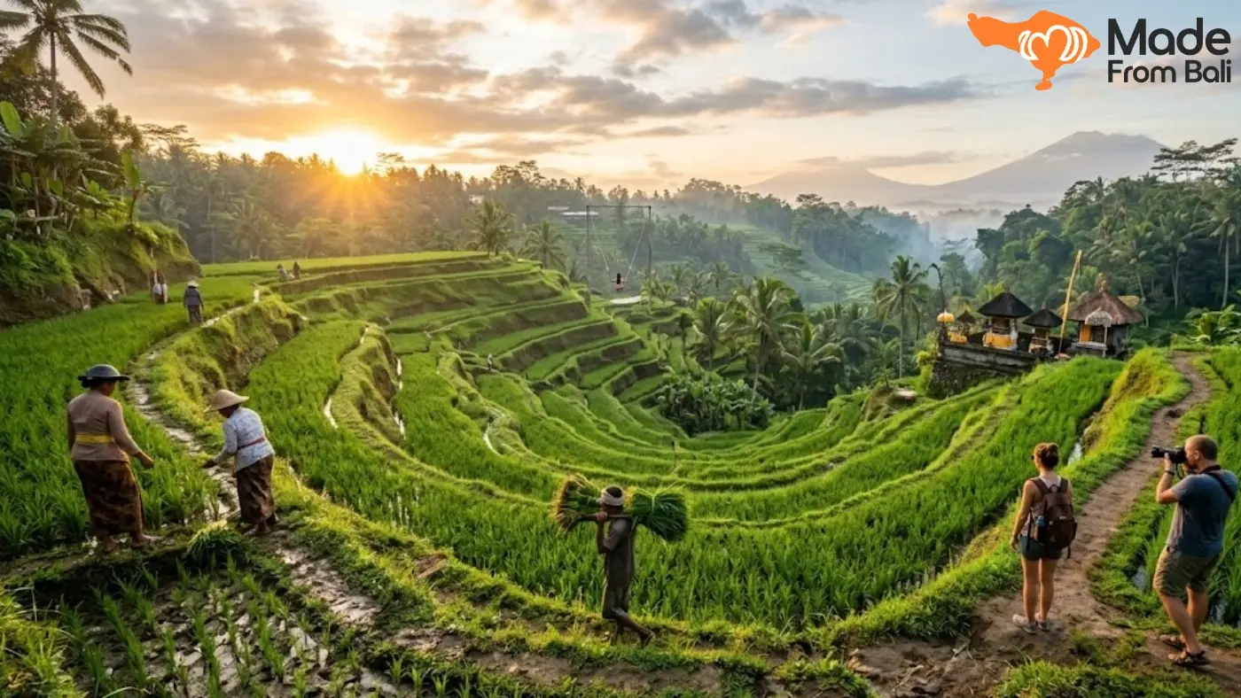 Travelers exploring rice terraces near Ubud, a popular activity for nature and culture lovers.