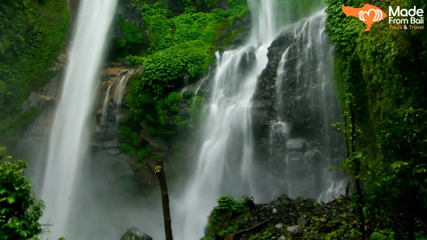 Air Terjun Sekumpul dengan beberapa aliran air dikelilingi tebing hijau, menunjukkan medan yang perlu dipersiapkan sebelum berkunjung.