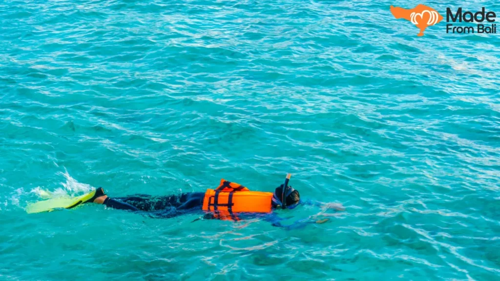 Seorang wisatawan snorkeling di air laut jernih Amed sambil melihat terumbu karang di bawah permukaan.