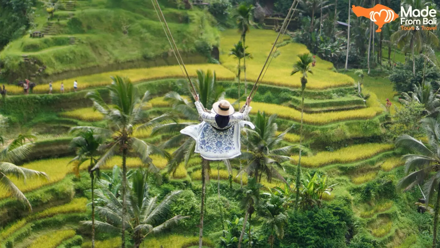 A visitor rides a Bali swing above rice terraces, showing the view and feeling of the experience.