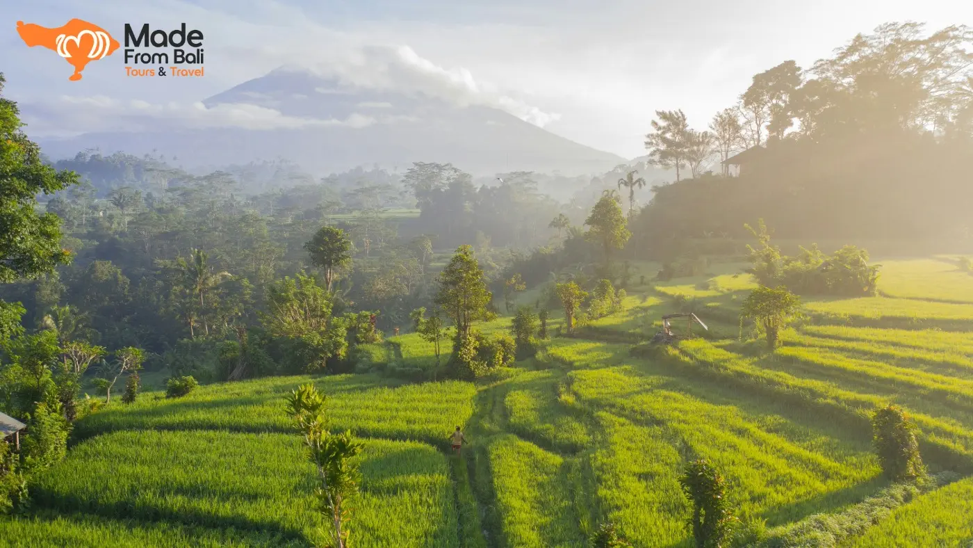 Green rice fields in Sidemen with Mount Agung in the background, showing Bali's peaceful countryside landscape.