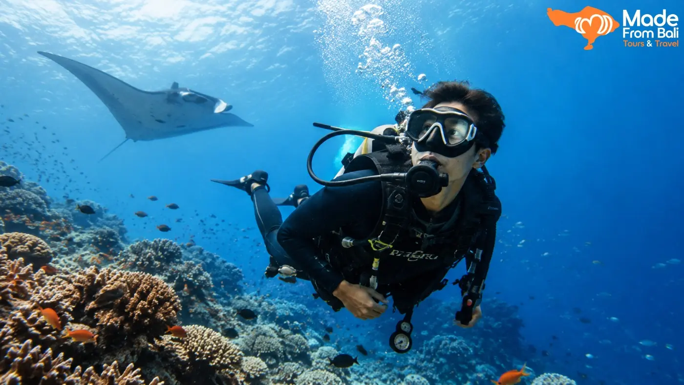 Scuba diver explores a colorful coral reef in Bali surrounded by tropical fish and clear blue water.